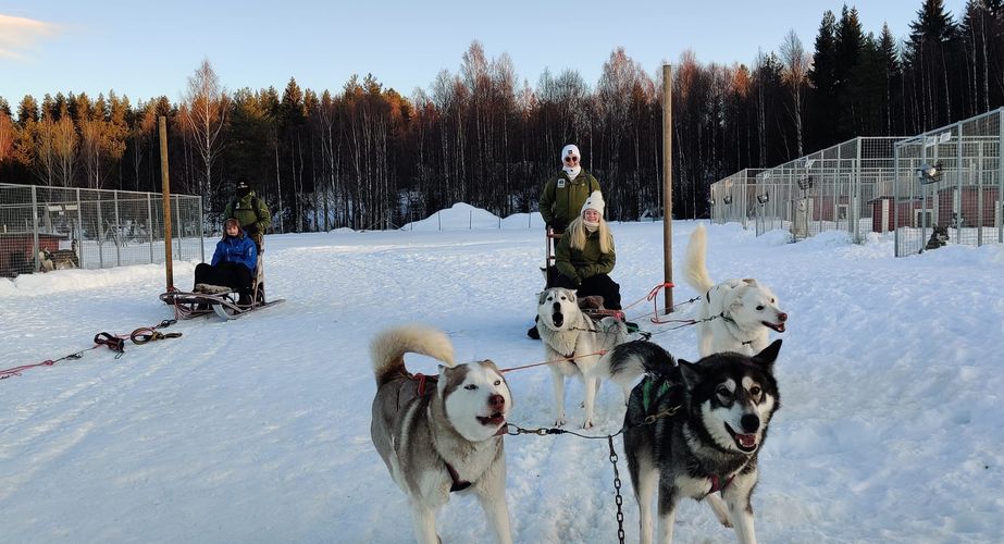 29 38 Lapland 17 29 38 Lapland 17